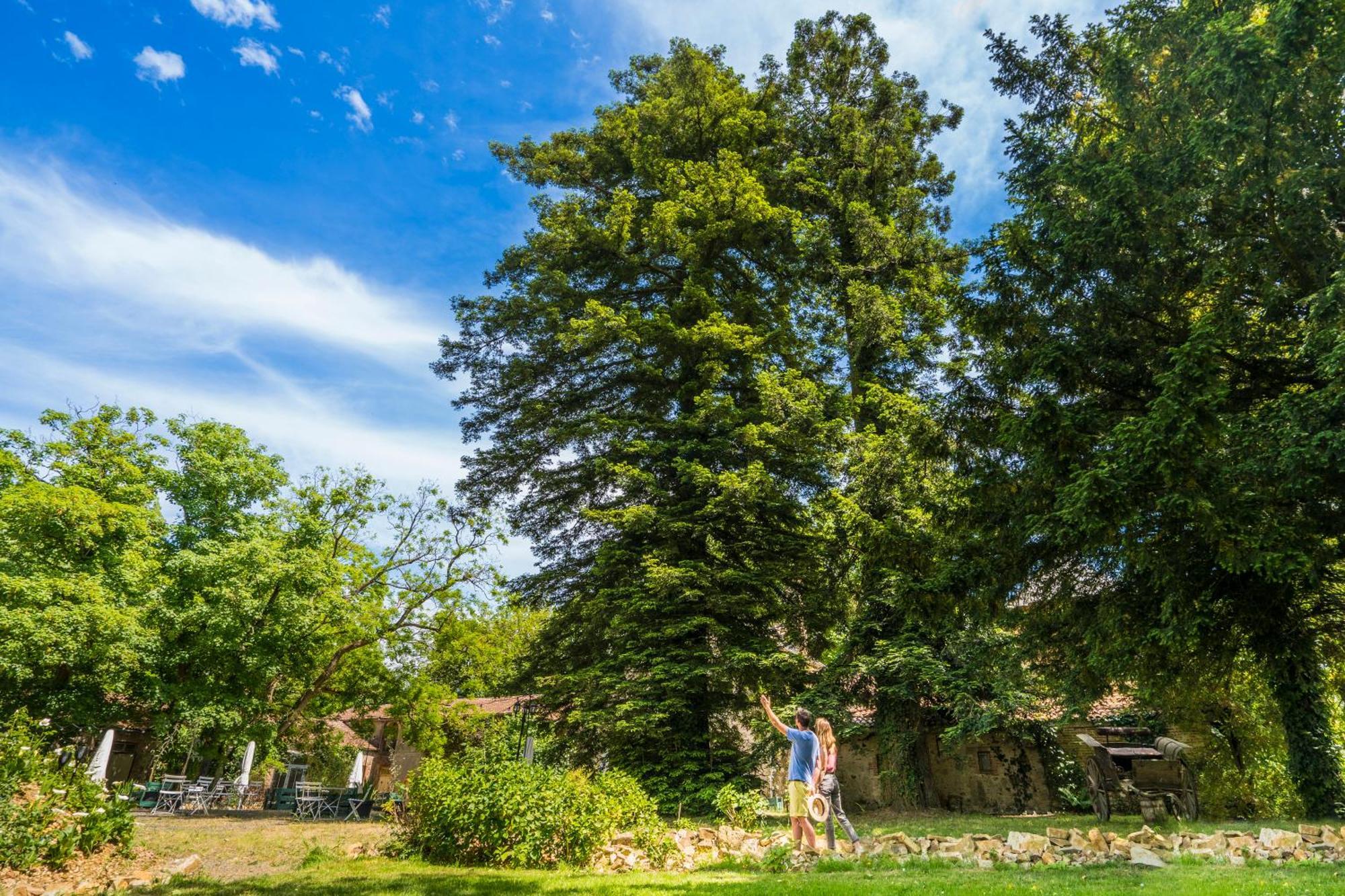 Chateau De La Tourlandry Chemille-en-Anjou Екстер'єр фото